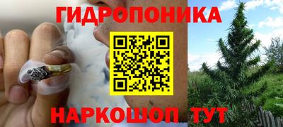 прущая мука Донской