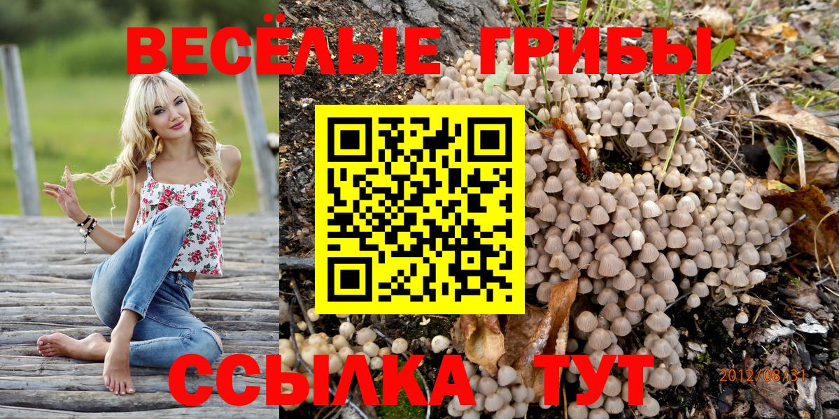 Псилоцибиновые грибы Psilocybine cubensis  Вход с VPN  Мыски 