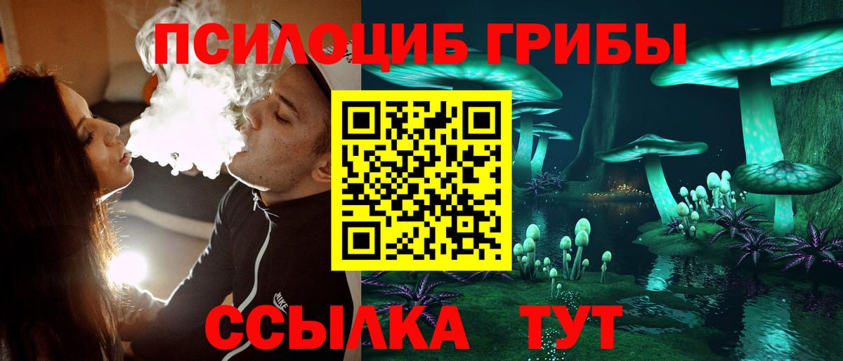 Псилоцибиновые грибы GOLDEN TEACHER Мыски